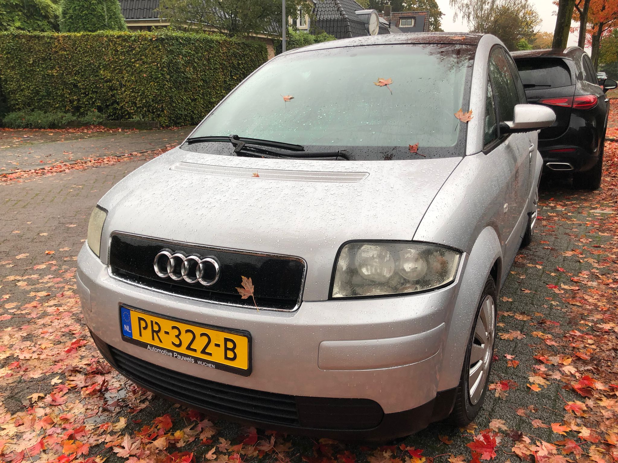 adf30be8-515c-4d52-bce7-98be19818af8.jpg