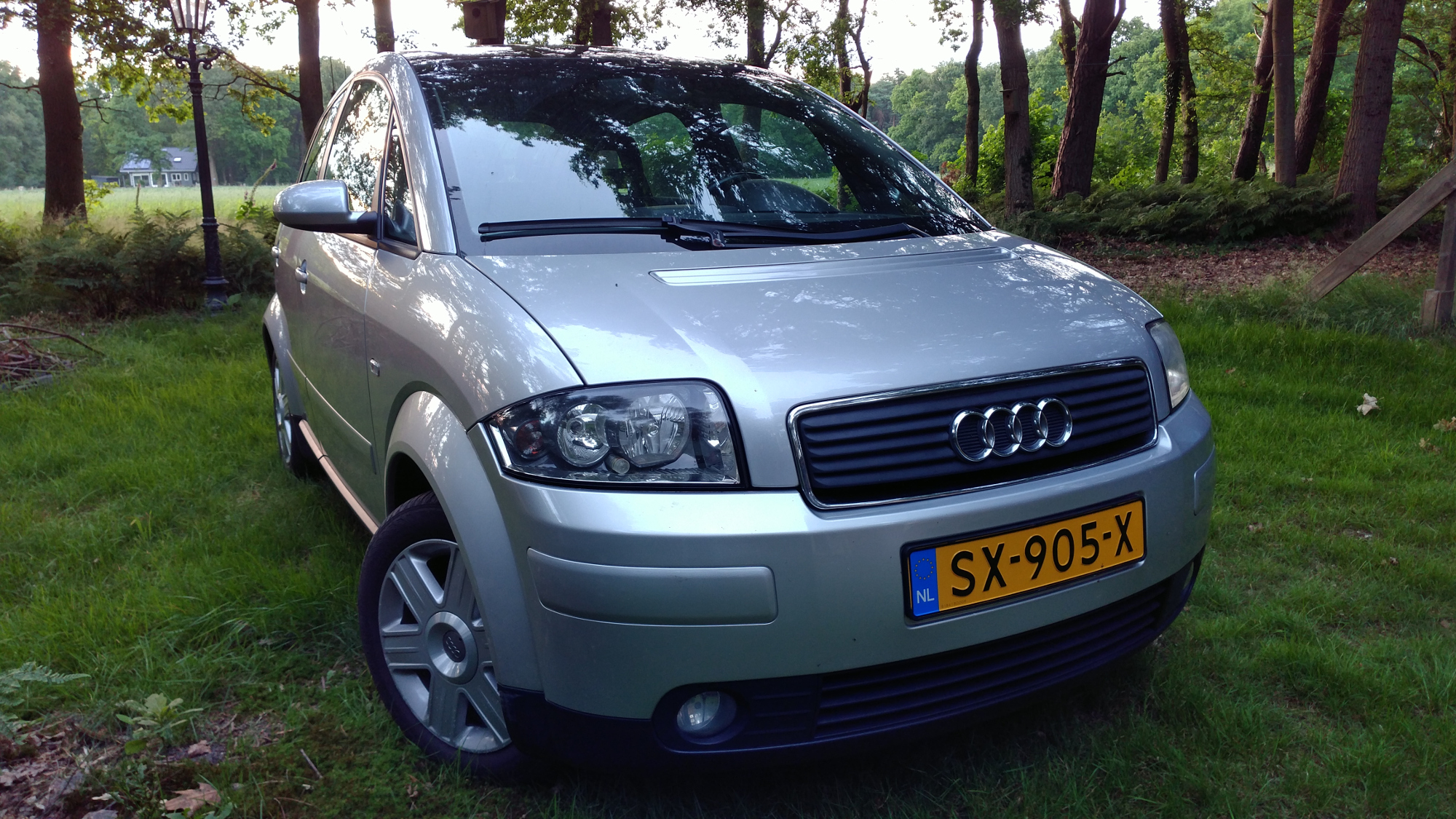 p6.jpg