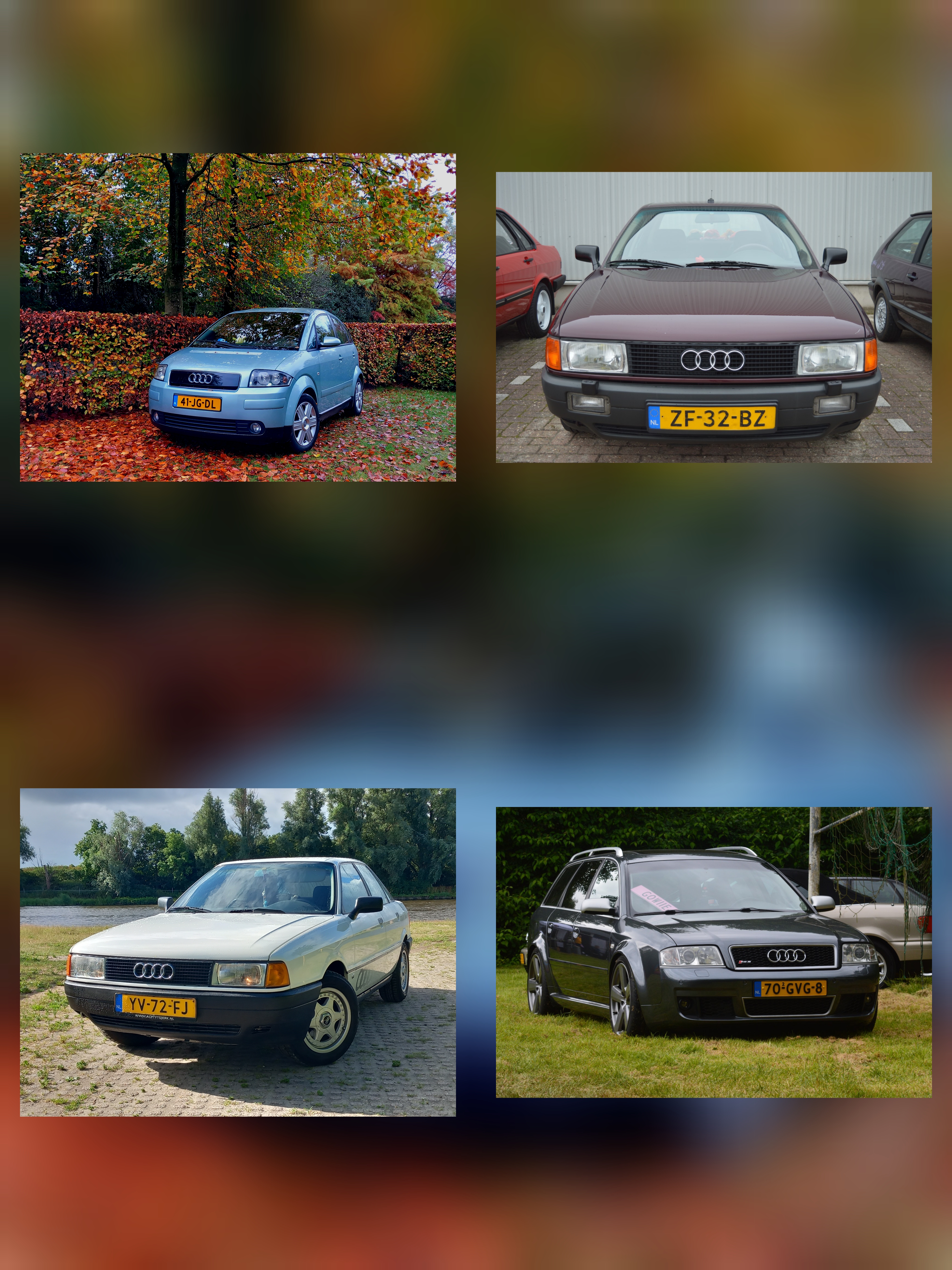 InCollage_20241031_074210176.jpg