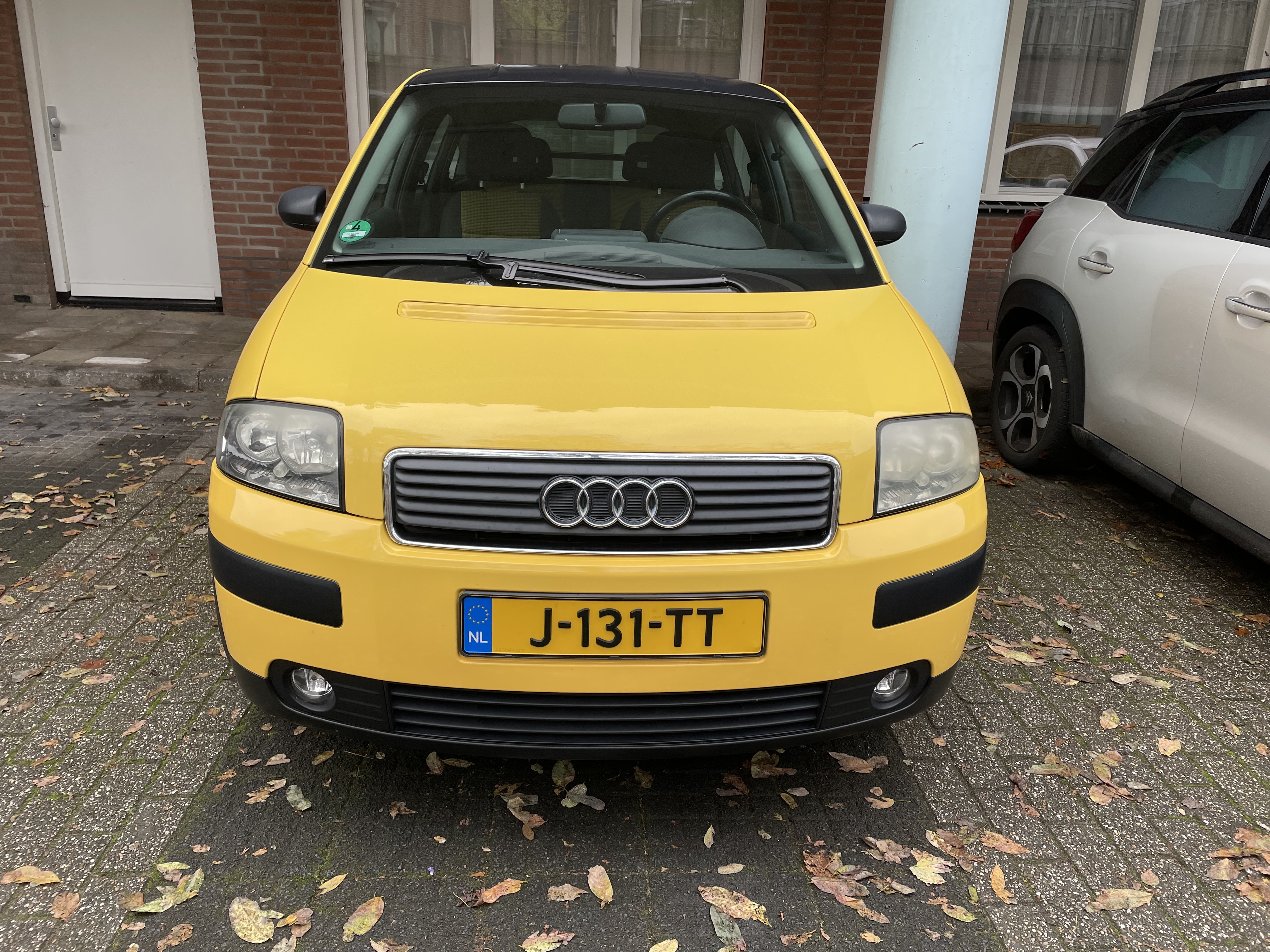 IMG_1549.jpeg