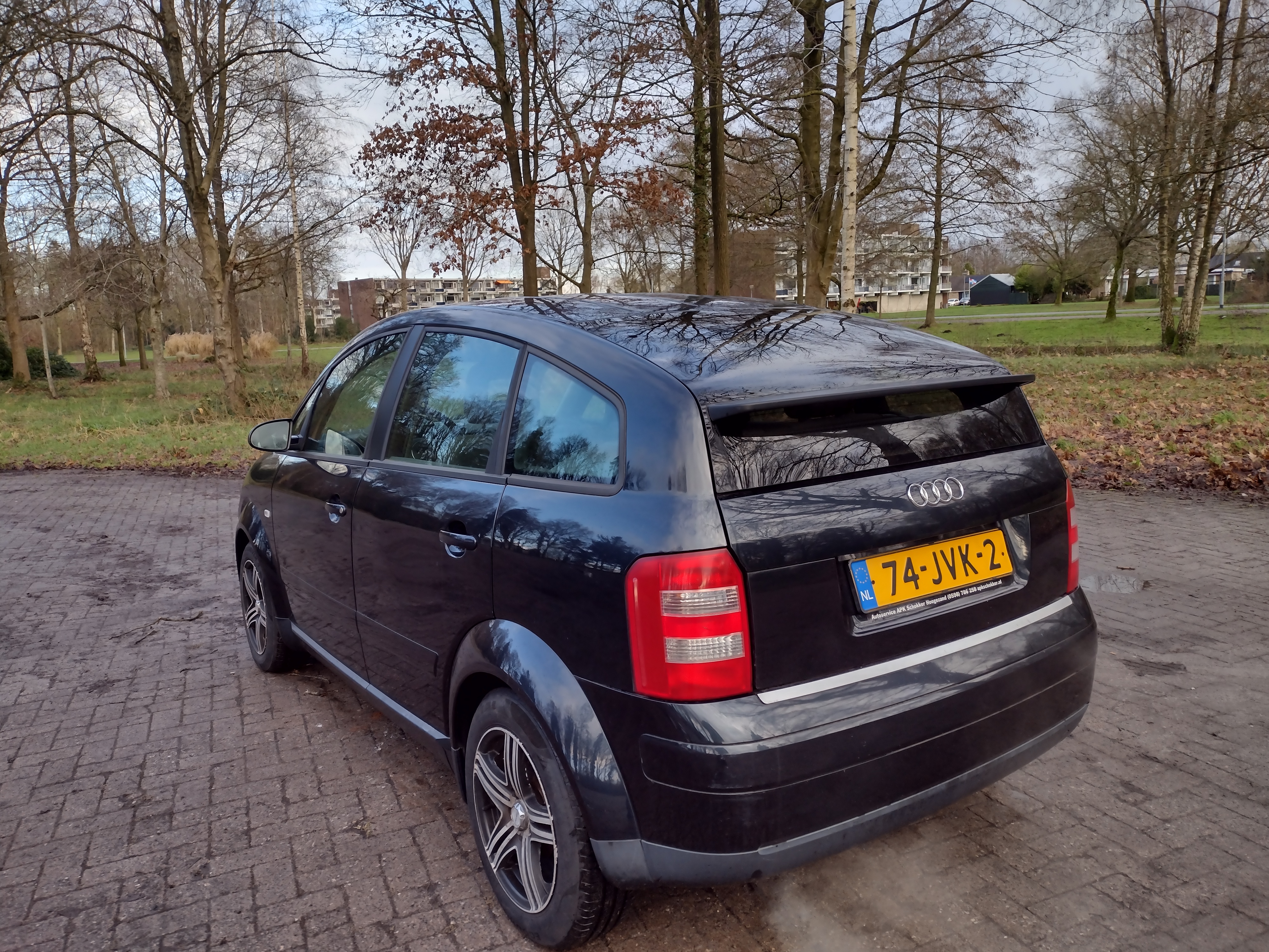 IMG_20250109_140549485_HDR.jpg