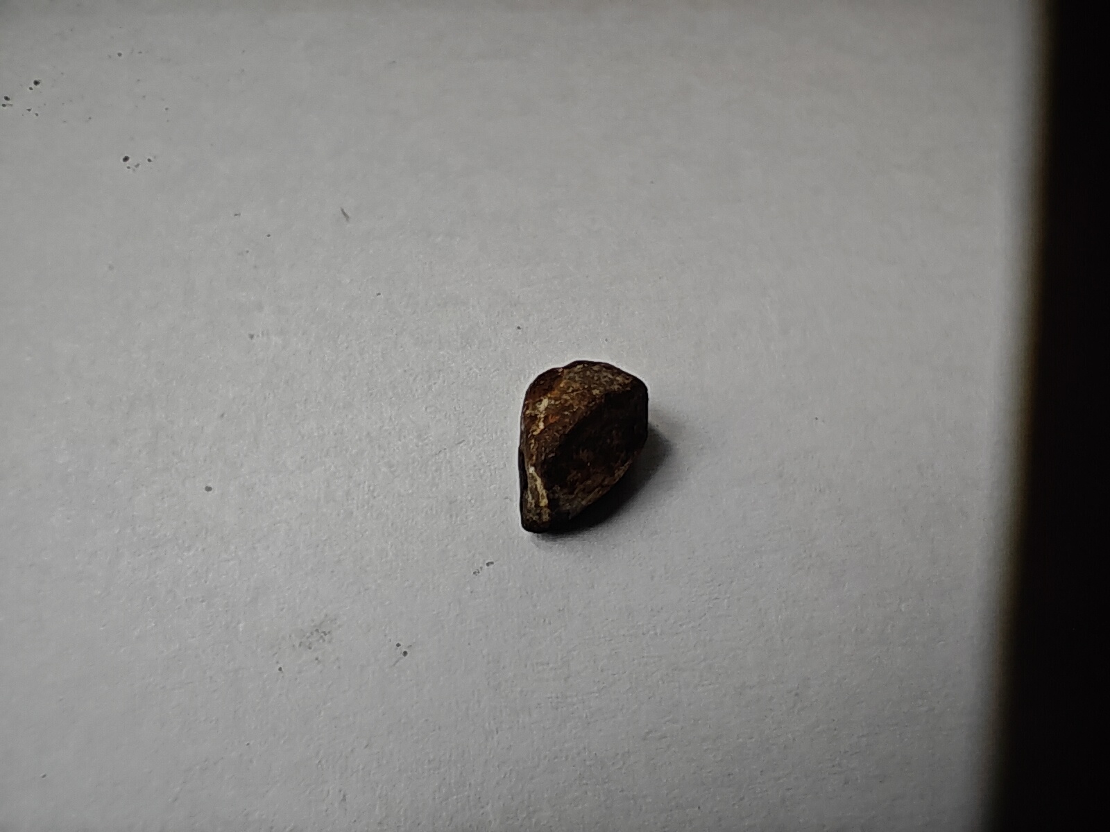 IMG20250301112038.jpg