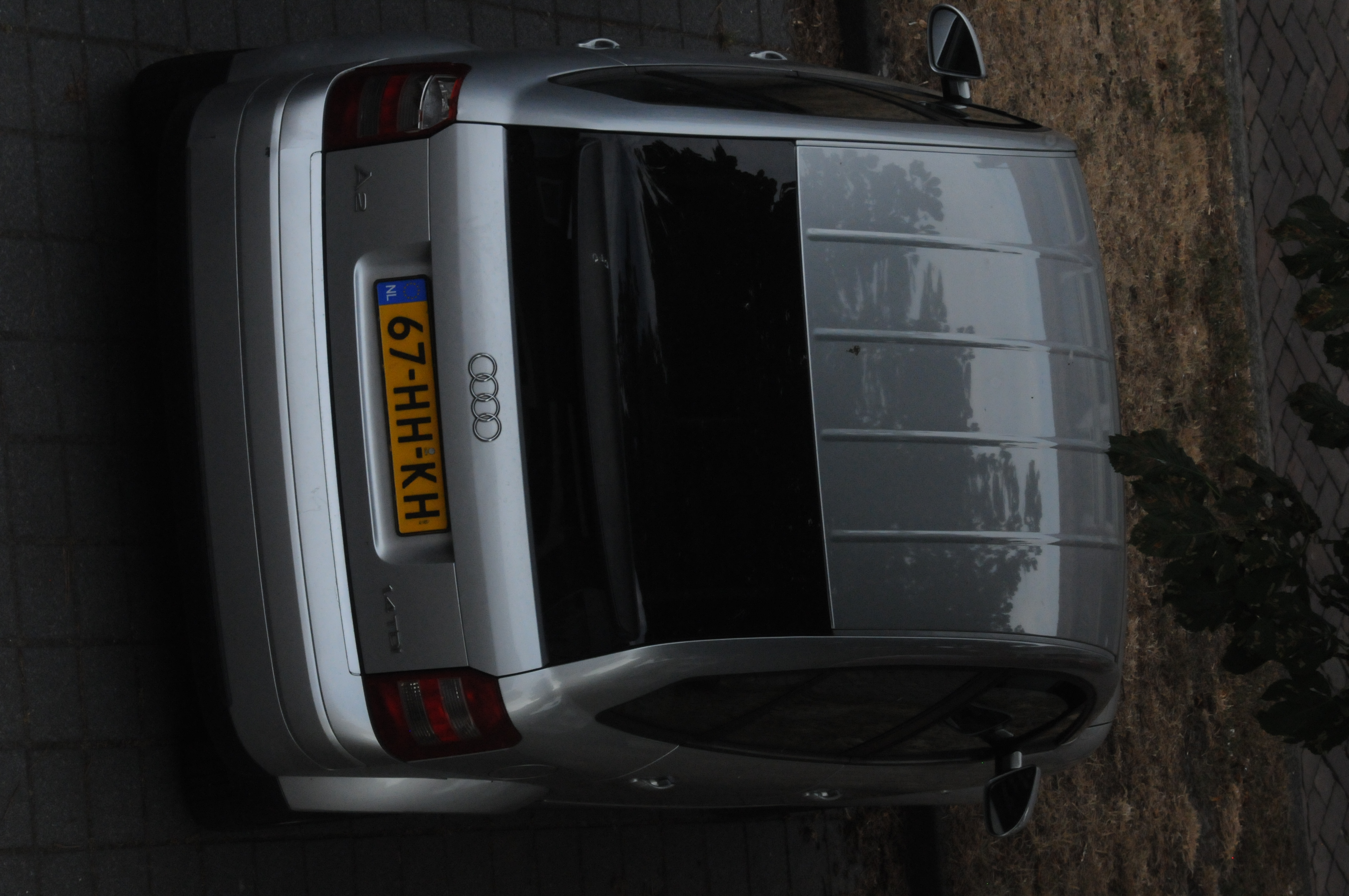 DSC_1615.JPG