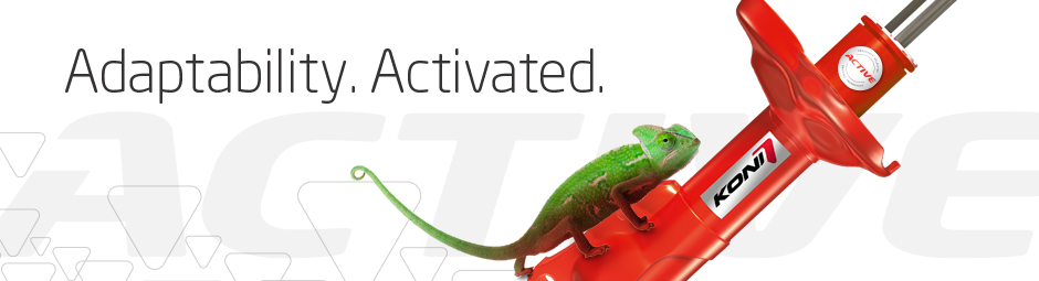 KONI_ACTIVE_Chameleon_dirt_rd_940x255_ver2.jpg