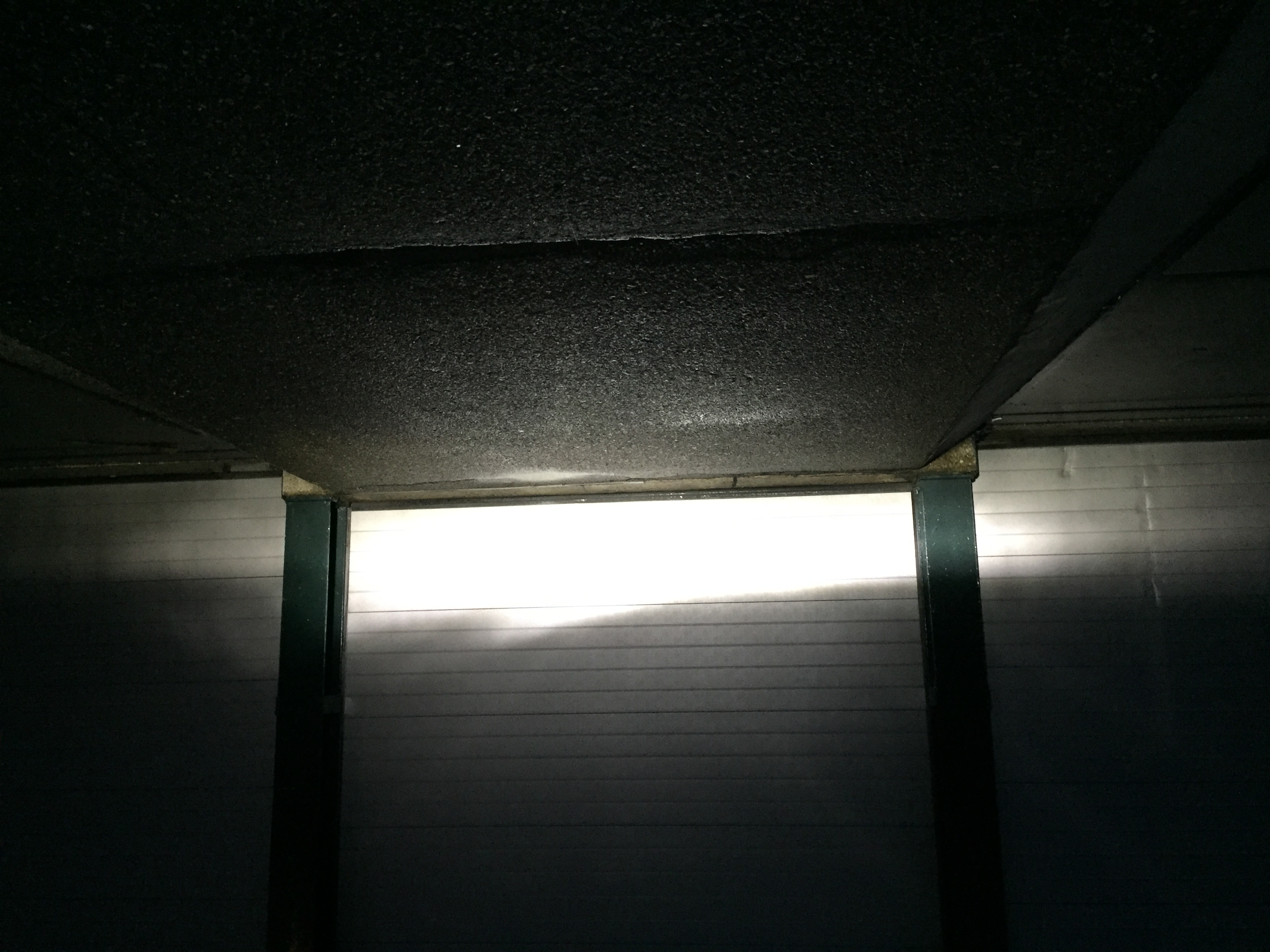 FC523A4F-B616-48C3-B35D-4F9D1C3FCC0F.jpeg