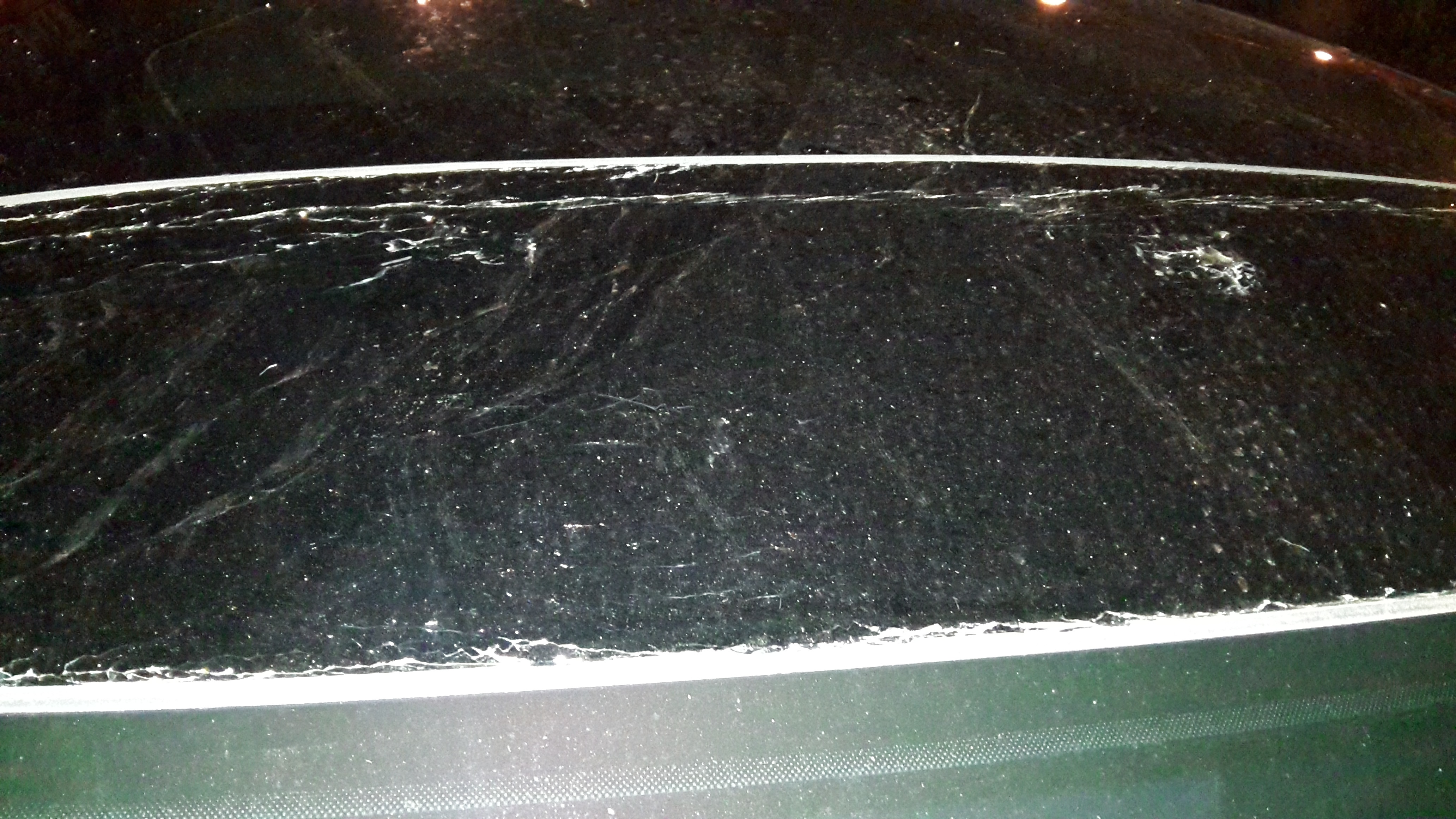 20190104_184437.jpg