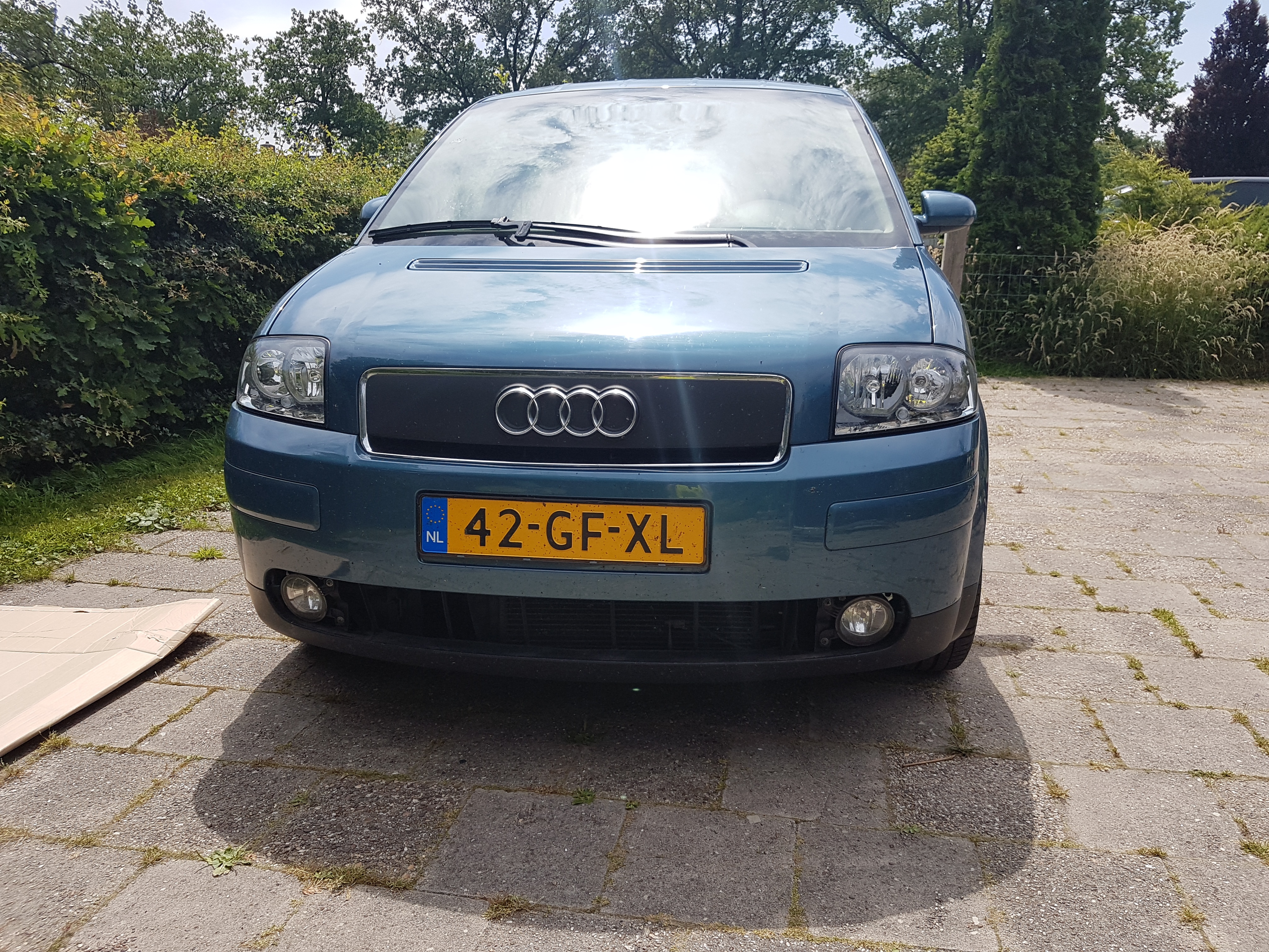 20190630_130657.jpg