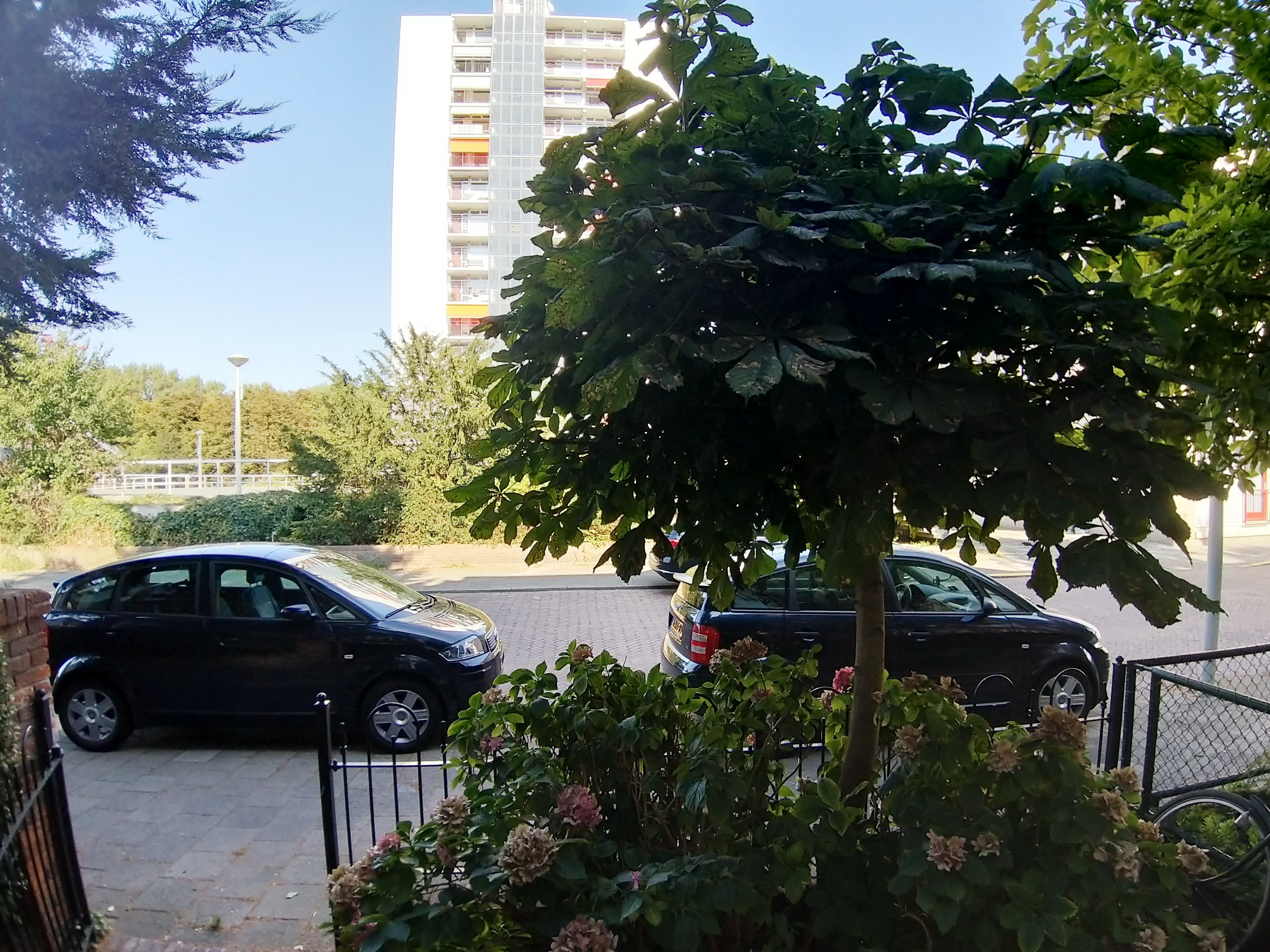 2019-08-24 16.32.25.jpg