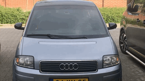 119DFDE7-D5BB-45D0-A1E3-1031CA243417.gif