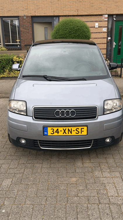B1873709-2927-40CD-BF6A-39ABAA0B28A3.gif