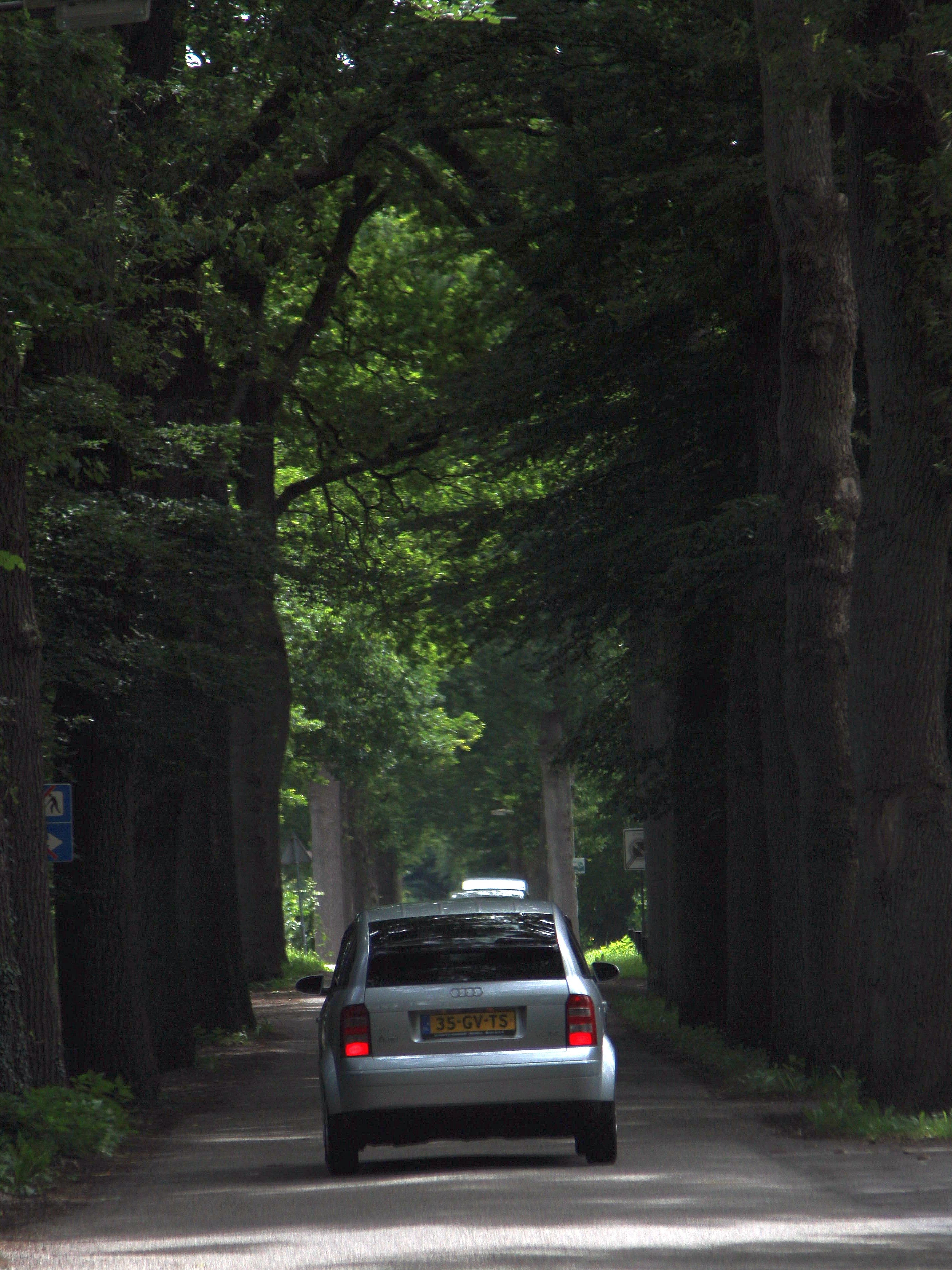 Tourrit_2020-07-19_1.jpg