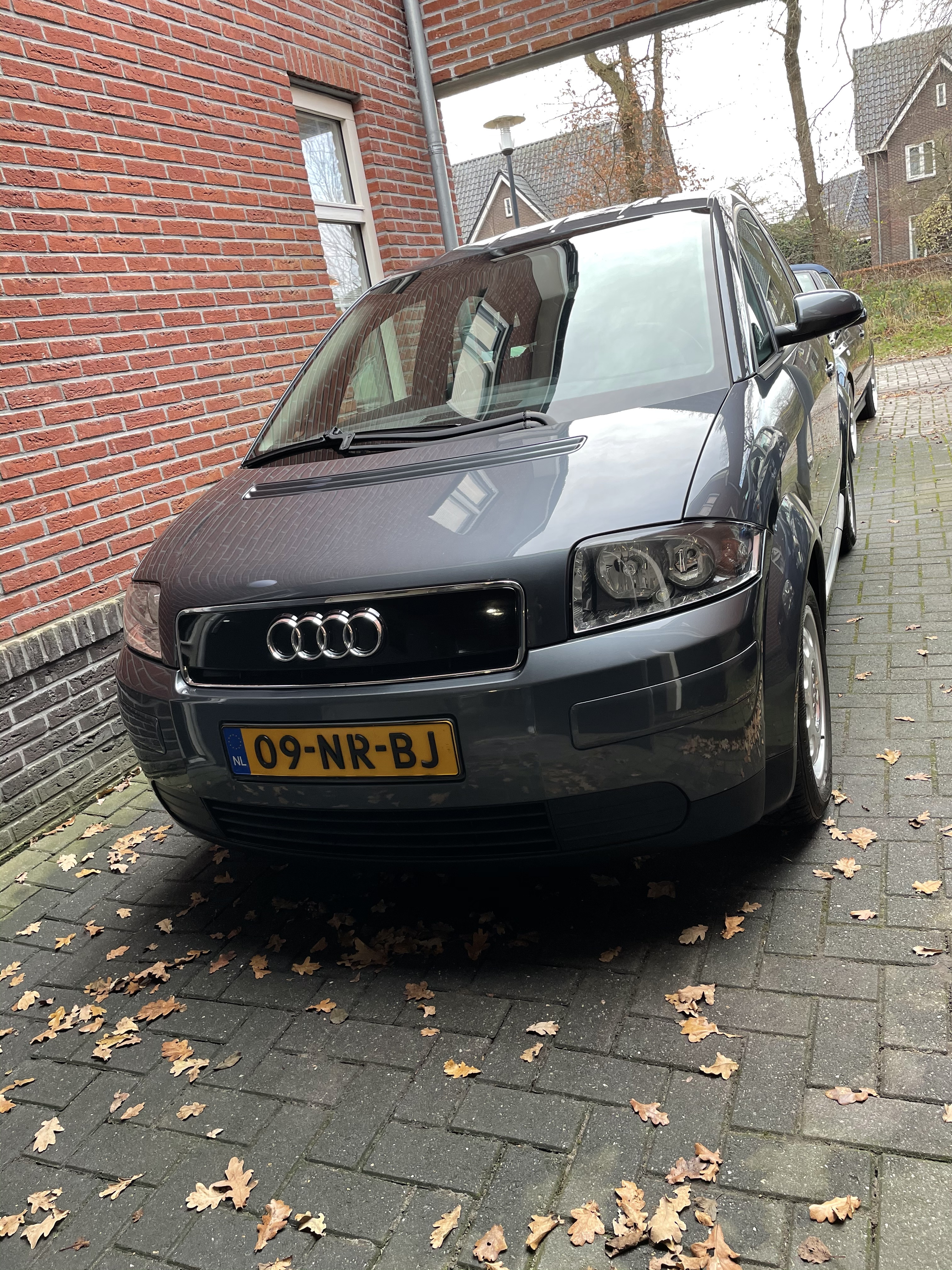 53E389C1-2E21-4E64-9625-5E9975869146.jpeg