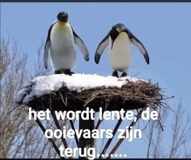deooievaarszijn terug.jpg