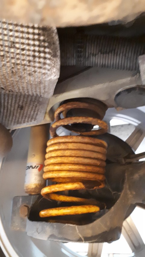 MAD-roest.jpg