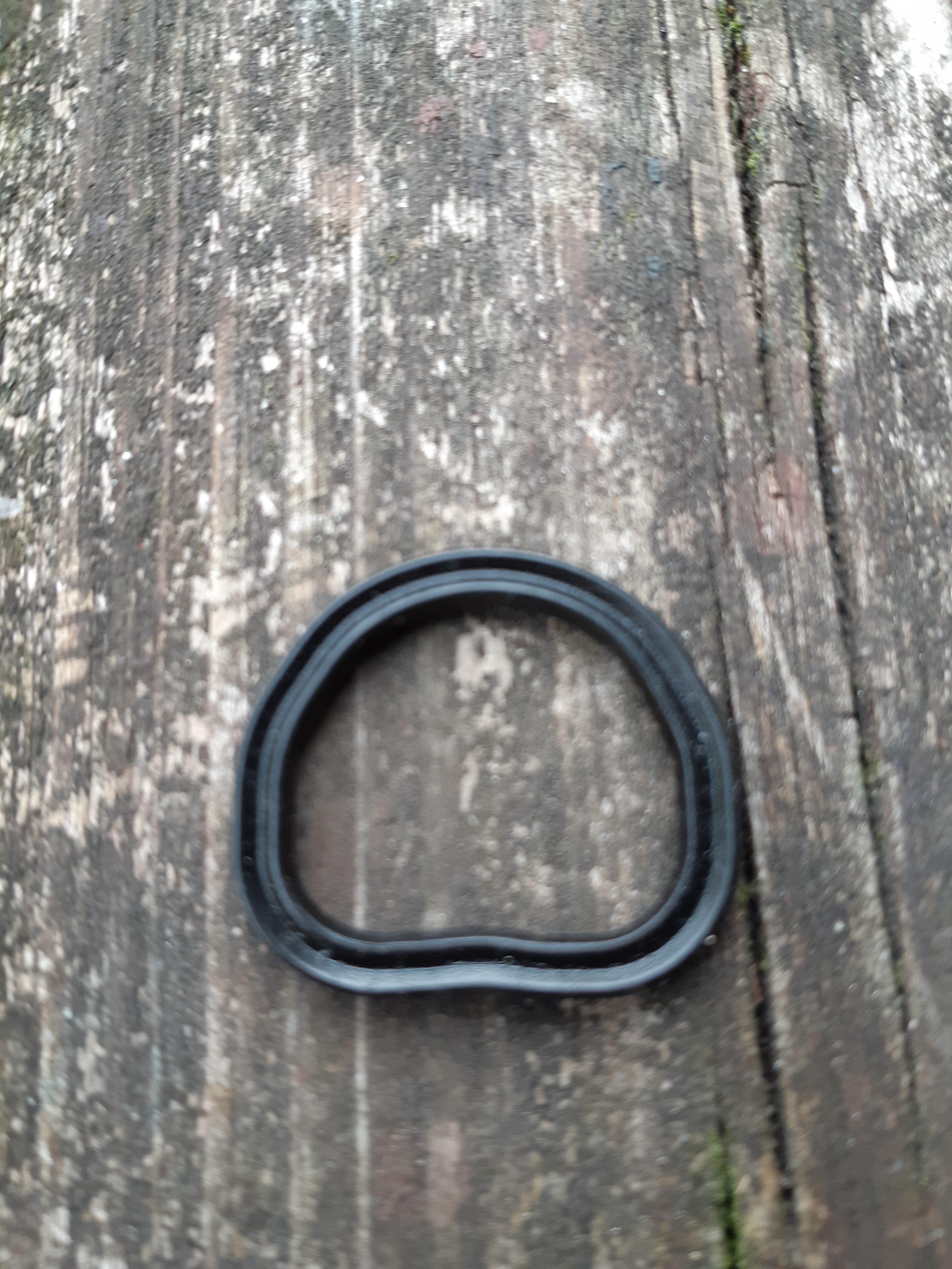 o-ring.jpg