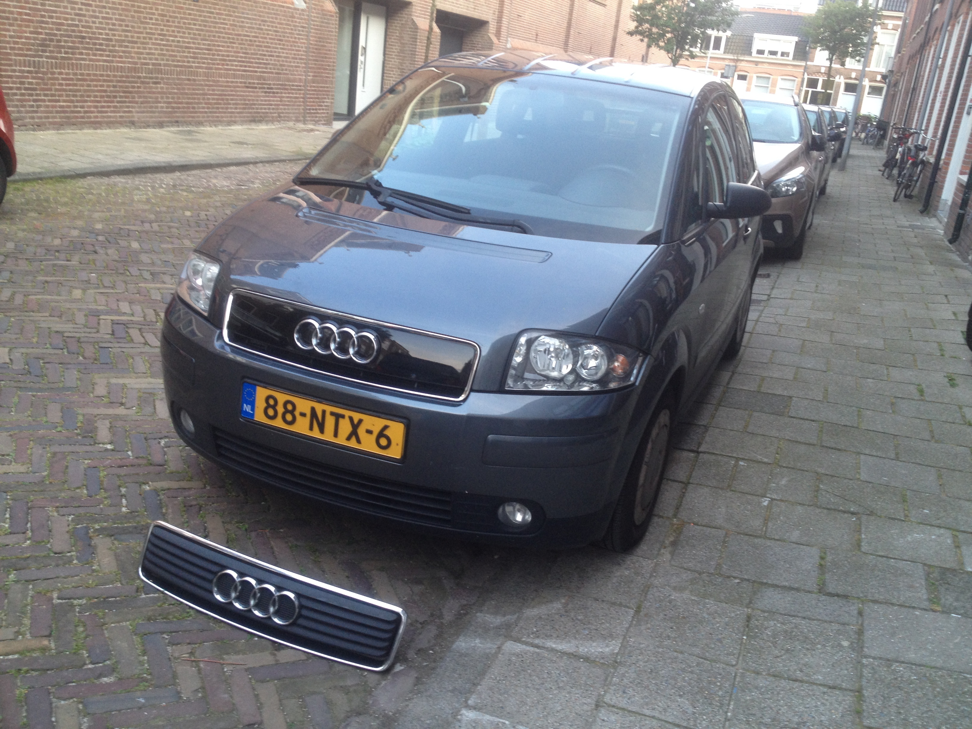 Audi-A2 Grille 2.JPG