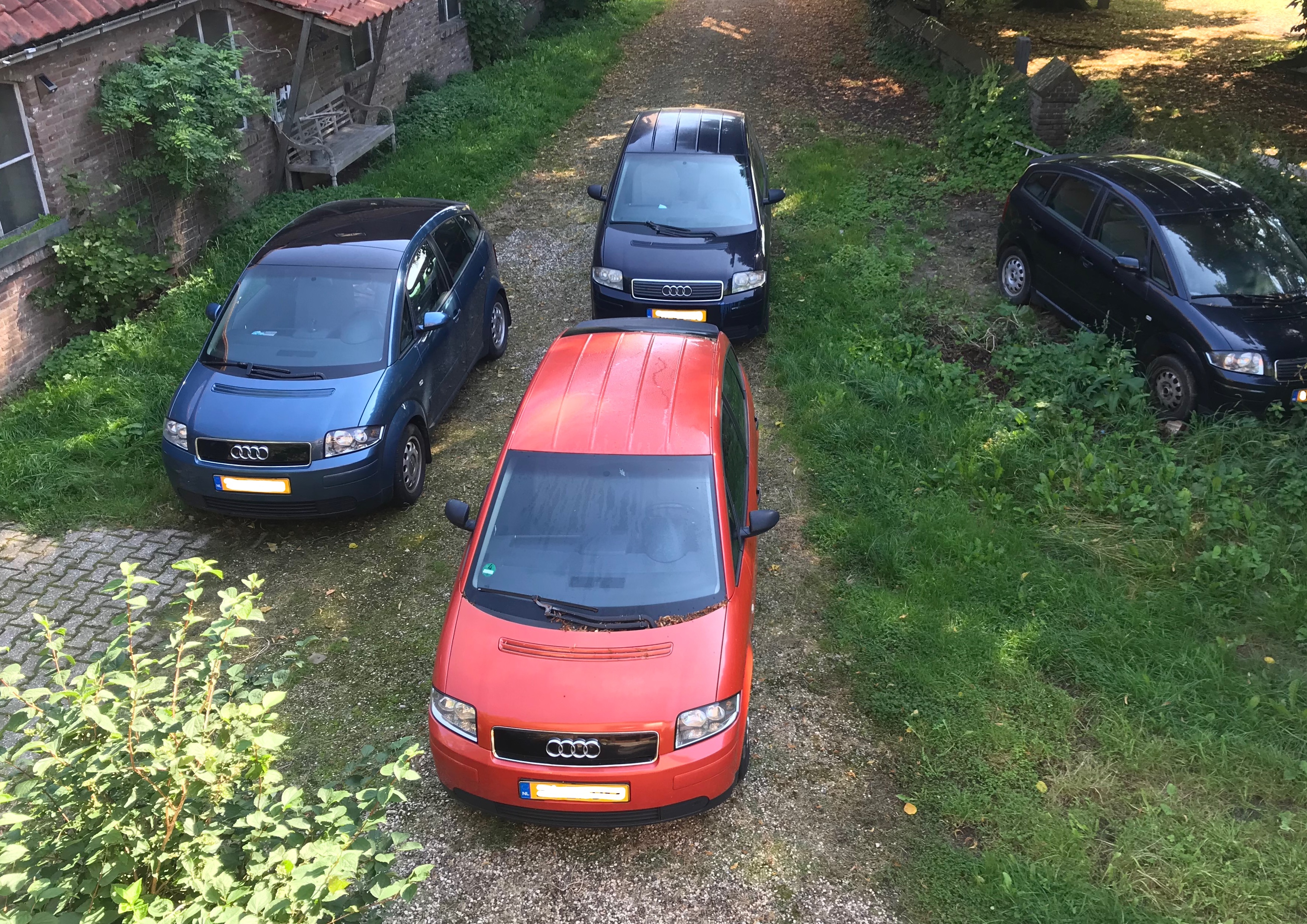 4xA2.jpg