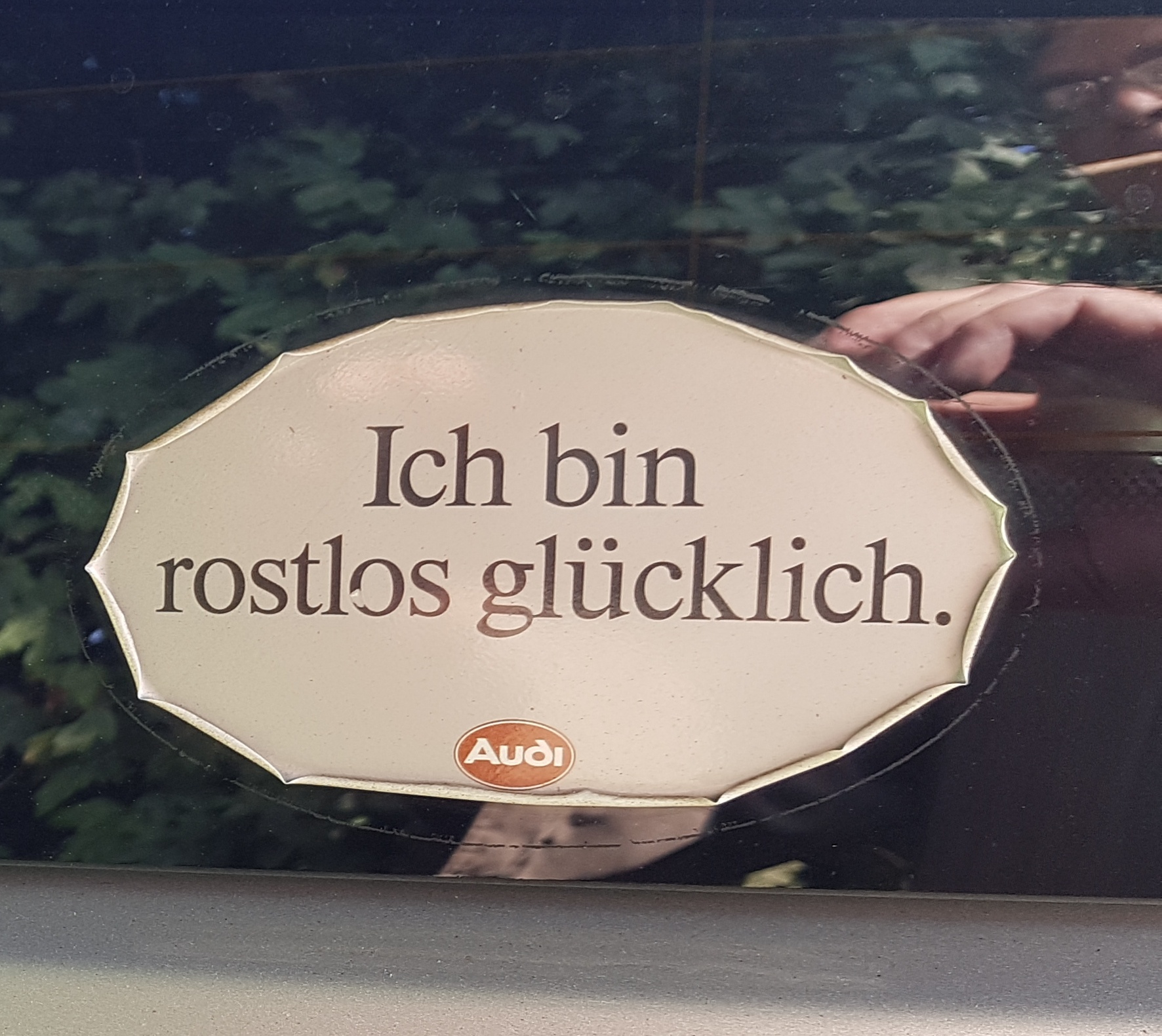 20210919_201202.jpg