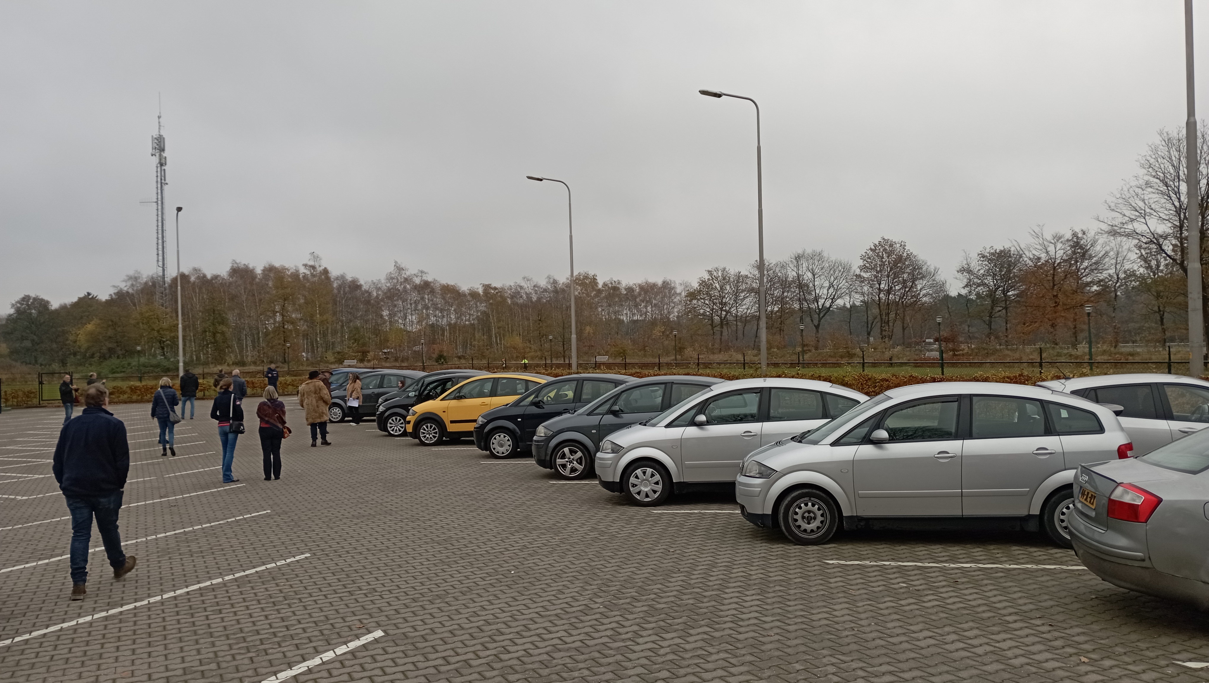IMG_20211113_110907.jpg