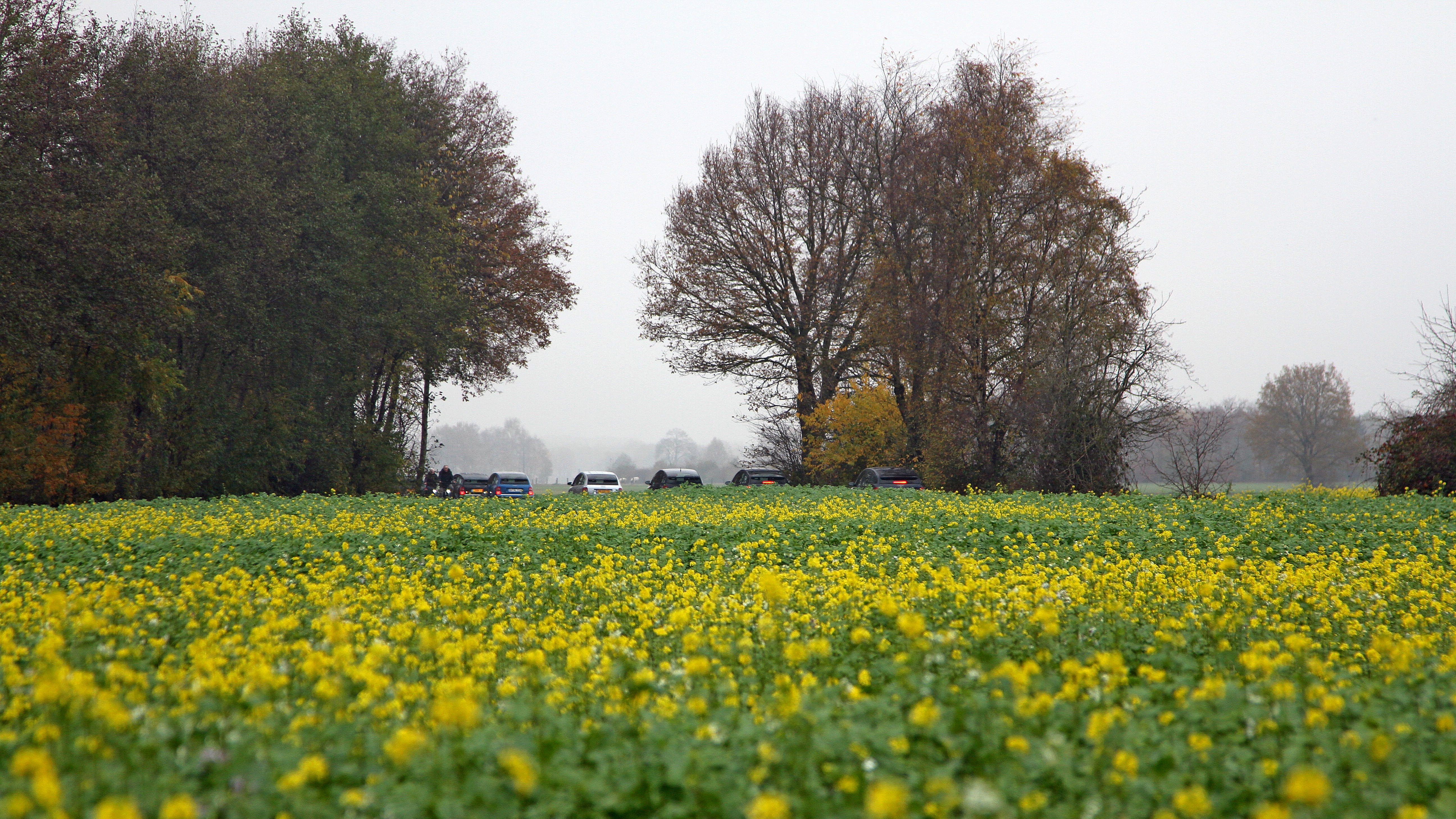 Toertocht_23.jpg