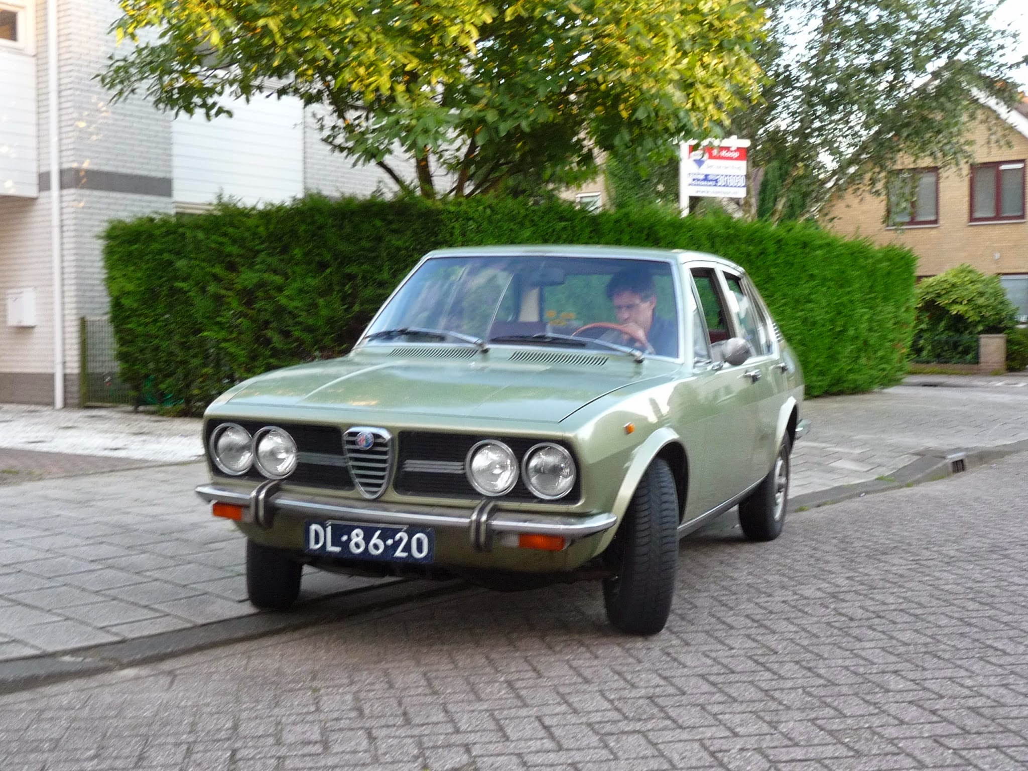 P1000929 - kopie.JPG