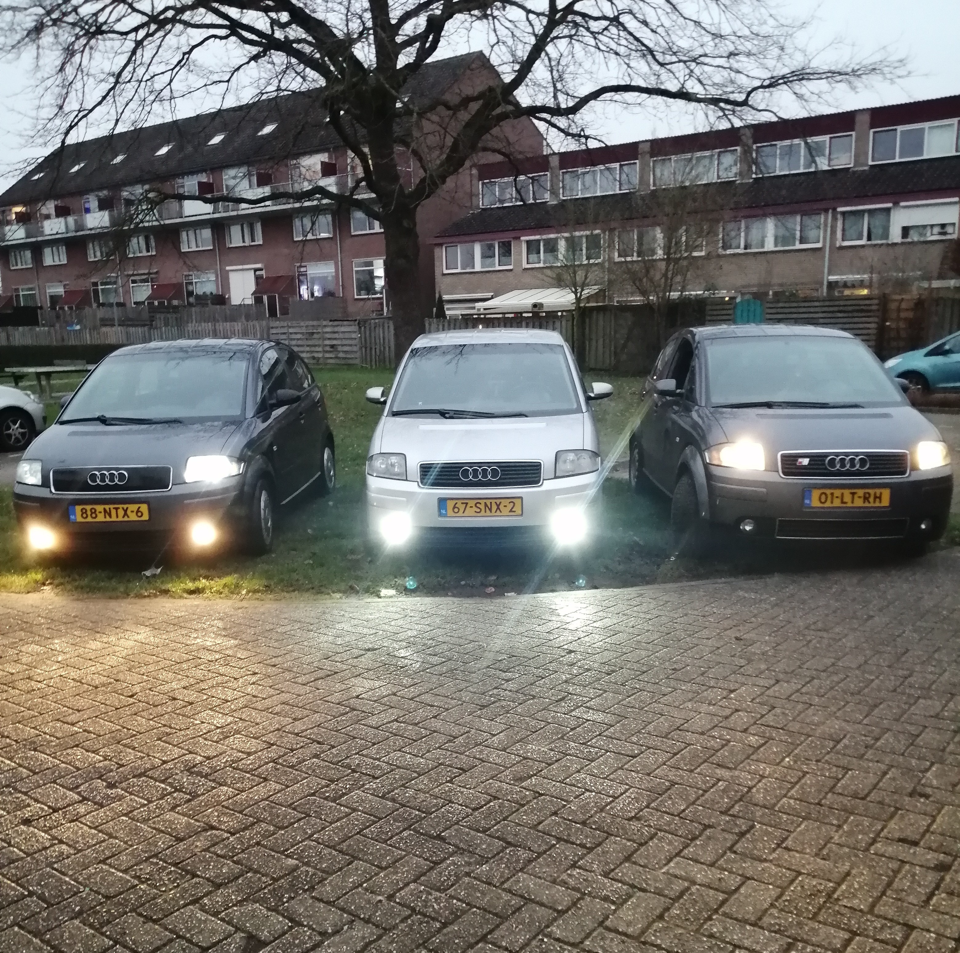 IMG_20220112_170155.jpg