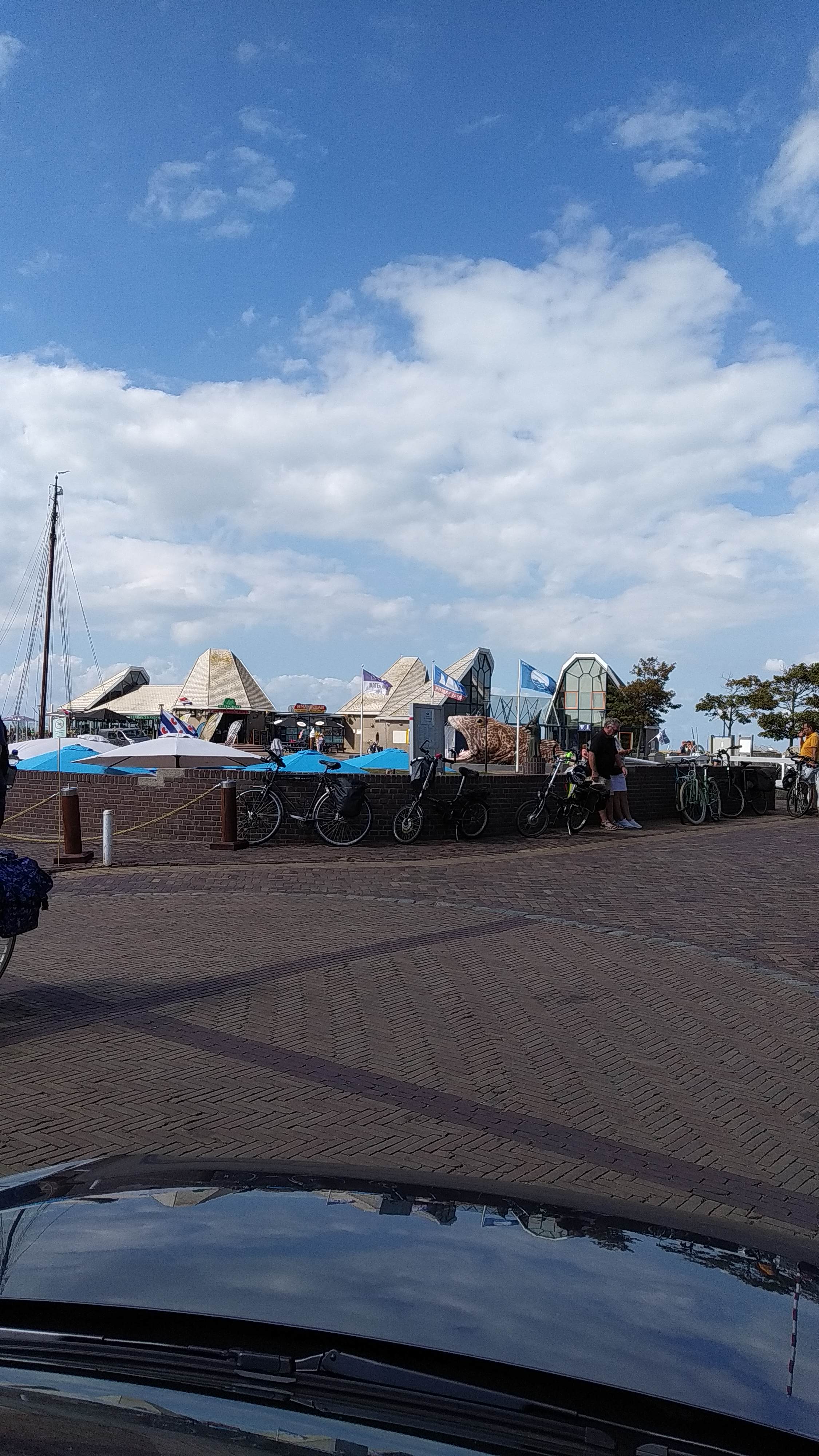 IMG_20220820_145908.jpg